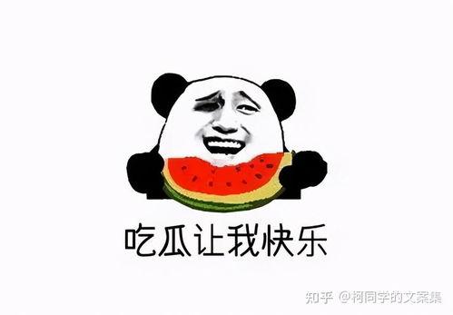一直在吃瓜群众怎么说,吃瓜群众视角下的娱乐圈风云